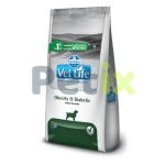 Vet life canino obesity diabetic 2kg