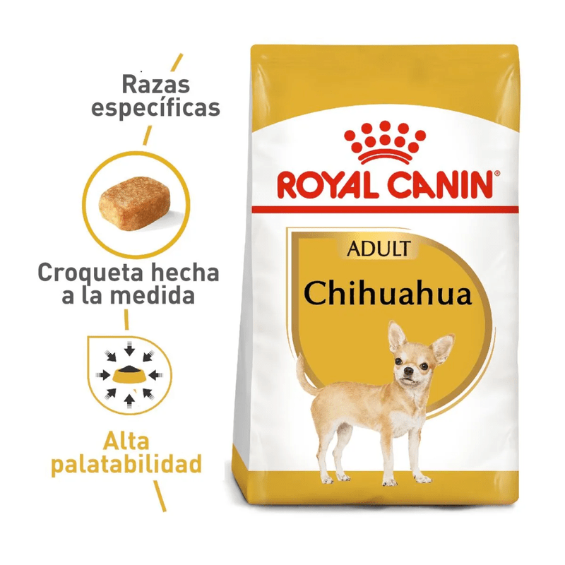 BHN-Chihuahua-adult.png